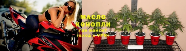 mdpv Гусев
