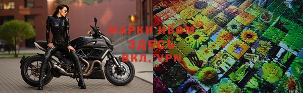 mdpv Гусев