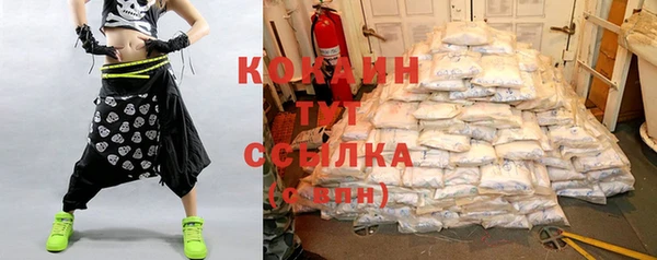 СК Гусь-Хрустальный
